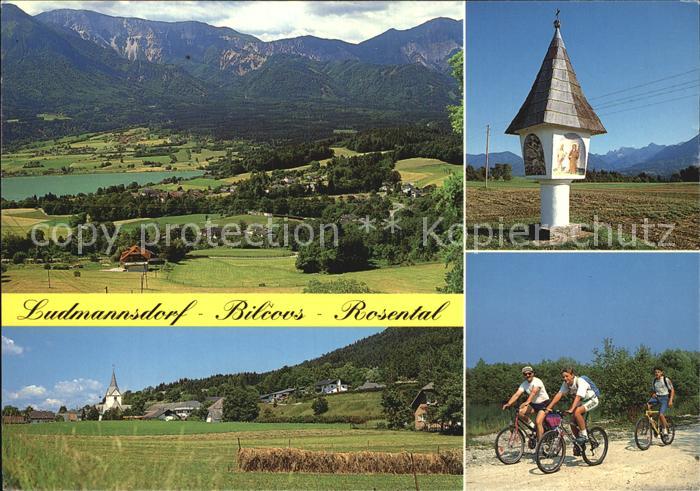 Ludmannsdorf Bilvocs Karawanken Bildstock Franzendorf