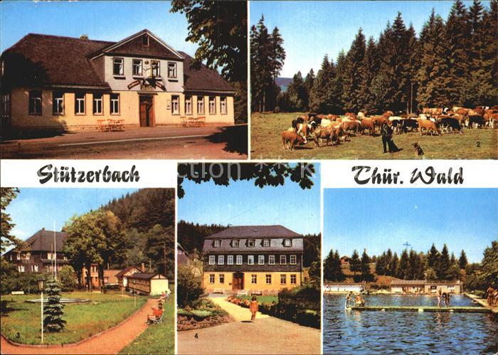 Stuetzerbach Gasthaus Auerbach Kuhherde am Auerbach Goethehaus Kurpark