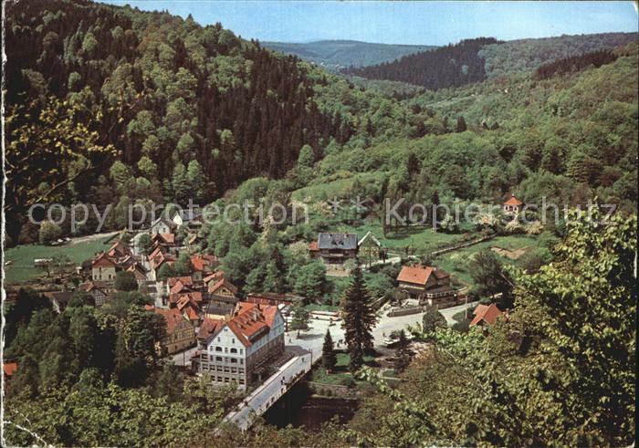Treseburg Harz Luftaufnahme