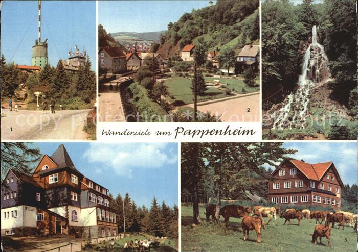 Pappenheim Thueringen Grosser Inselsberg Trusetaler Wasserfall Berghotel Ebertsw