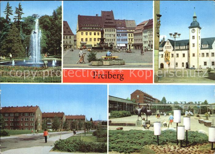 Freiberg Sachsen Scheringerpark Brunnendenkmal Obermarkt Rathaus