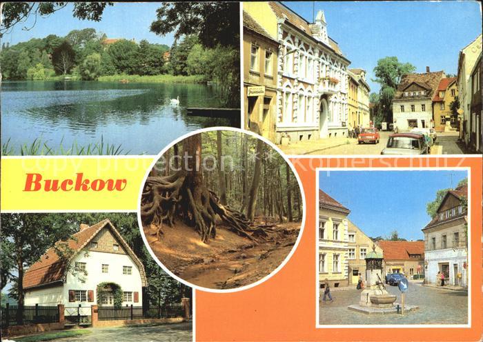 Buckow Maerkische Schweiz Buckow See Clara Zetkin Strasse Wurzelfichte Brecht We