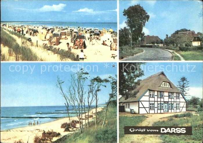 Darss Region Ostsee Prerow Weststrand Born Wieck