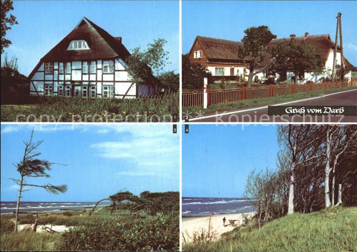 Darss Region Ostsee Wieck Born Strand