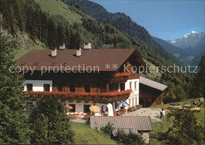 Johann Ahrntal St Berggasthof Pension Platterhof