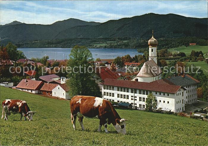 Gmund Tegernsee Alpen
