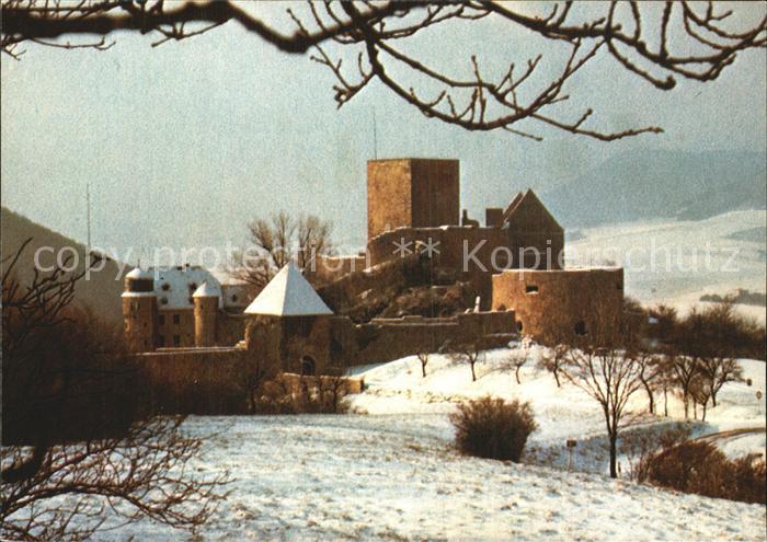 Kusel Burg Lichenberg Winter