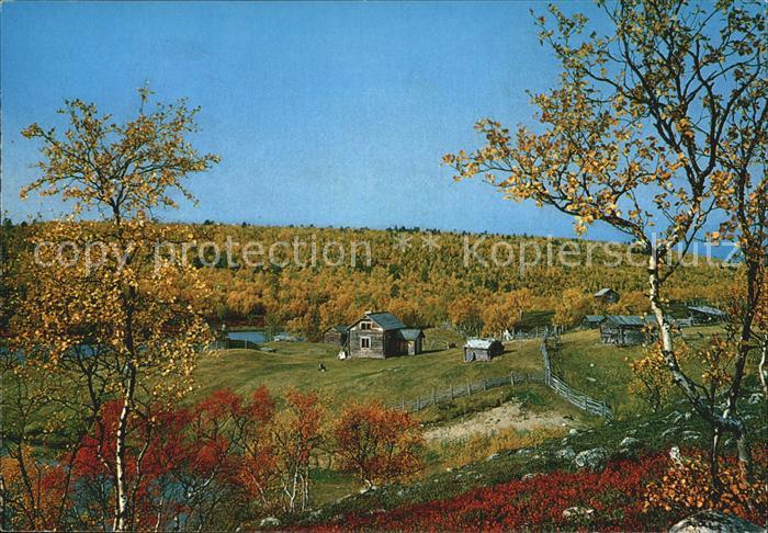 Suomi Herbstfaerbung
