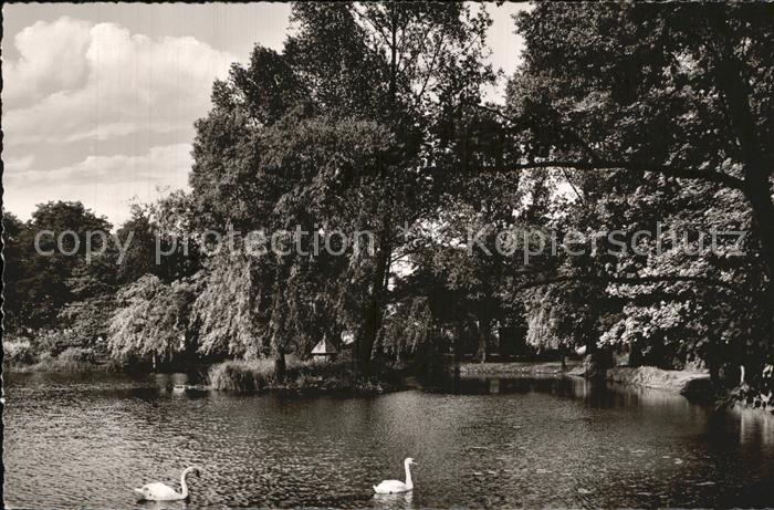 Ibbenbueren Schwanenteich