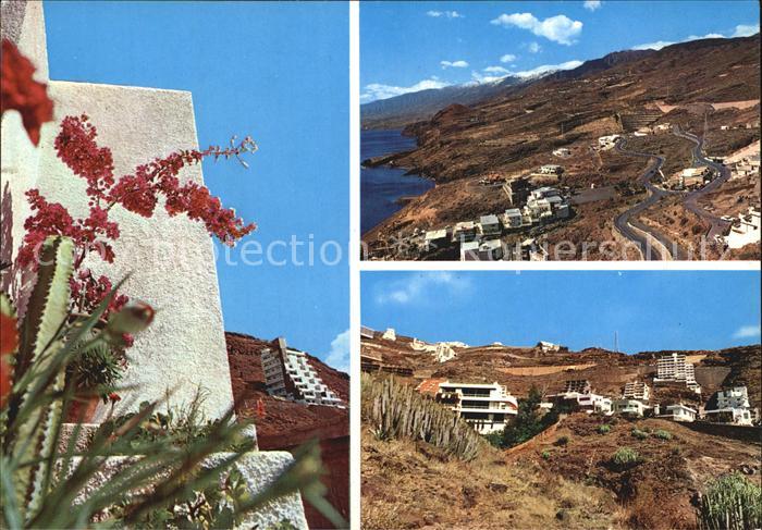 Tabaiba Teilansichten