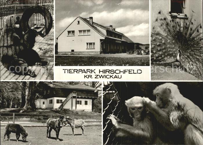Hirschfeld Zwickau Tierpark Esel Affe Pfau