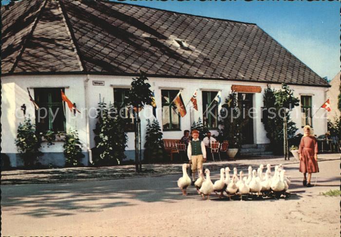 Skane Gaensehirten