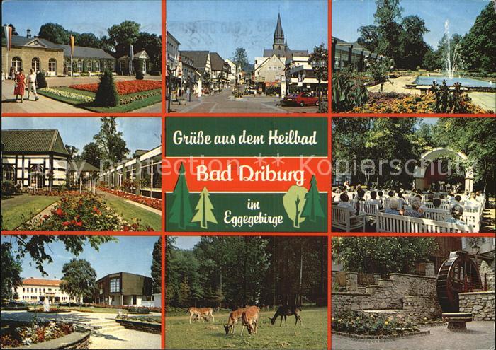 Bad Driburg Kurpark Muehle Wildgehege Brunnen Stadtansicht