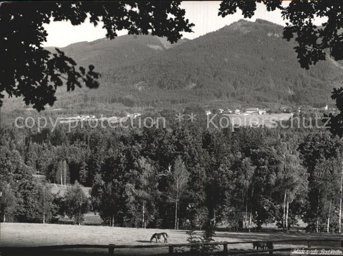 Bad Heilbrunn Panorama mit Pferdeweide