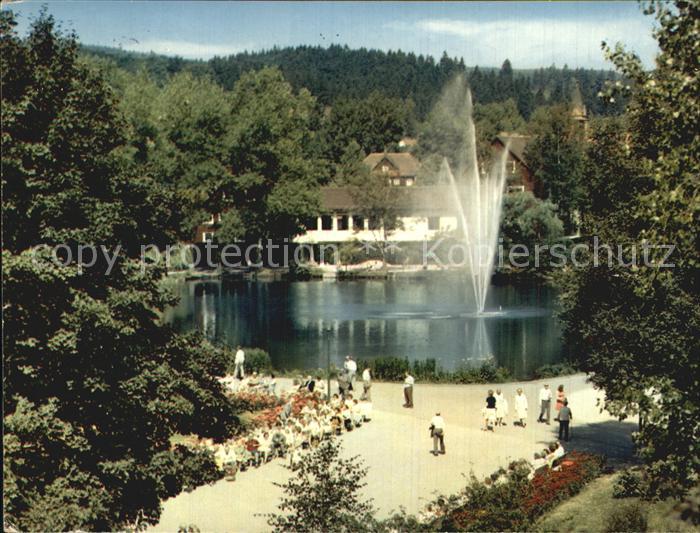 Braunlage Harz Kurparksee Fontaene