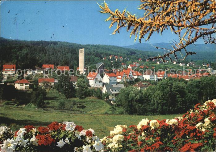 Bad Sachsa Harz Panorama