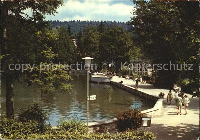 Bad Sachsa Harz Schmelzteich