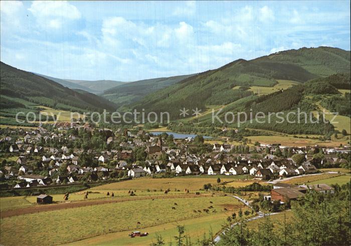 Olsberg Sauerland Panorama