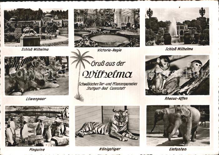 Bad Cannstatt Wilhelma Tier- und Pflanzenparadies