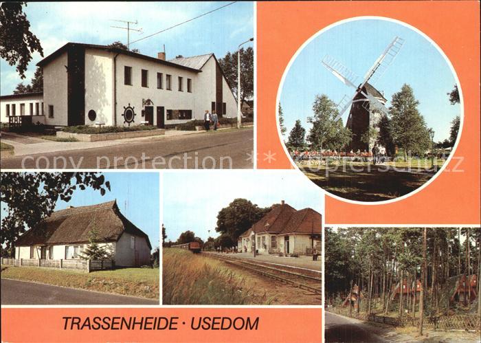 Trassenheide Usedom Windmuehle Reetdachhaus