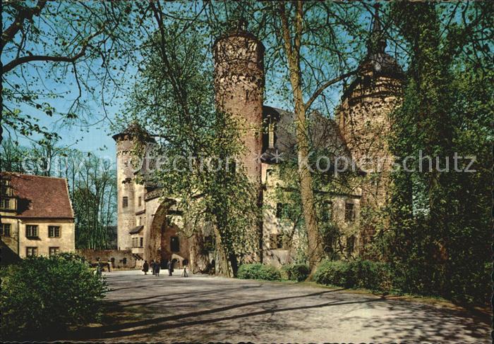 Michelstadt Schloss Fuerstenau