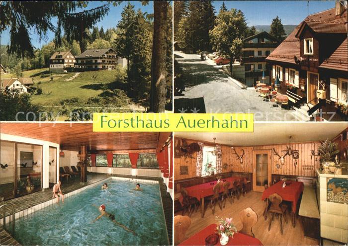 Baiersbronn Schwarzwald Forsthaus Auerhahn Schwimmhalle