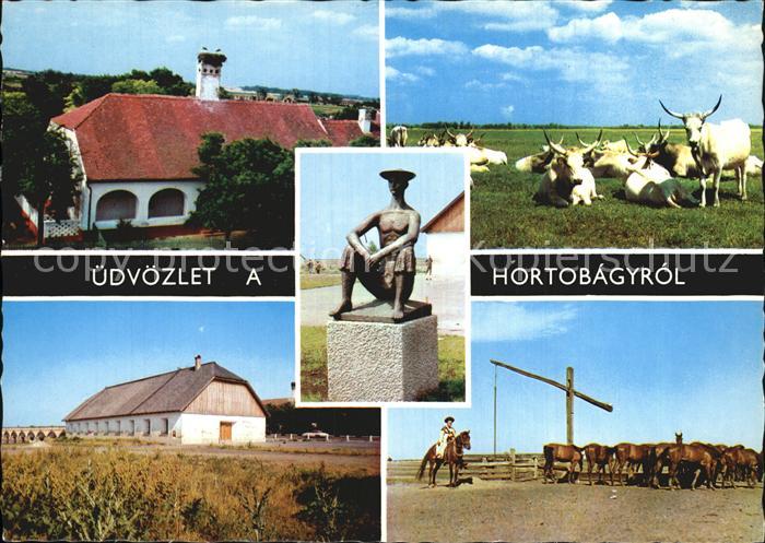 Hortobagy Reiter Pferde Ochsen