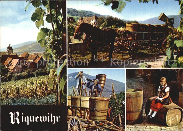 Riquewihr Haut Rhin Pferdewagen Weinernte