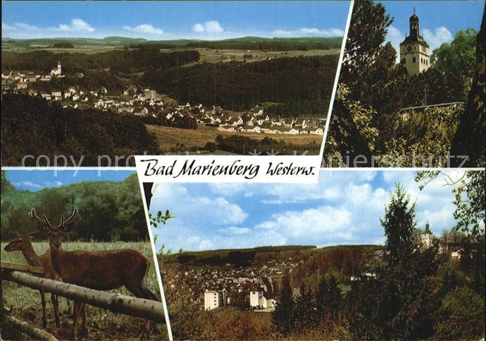 Bad Marienberg Wild Kirche Fliegeraufnahme