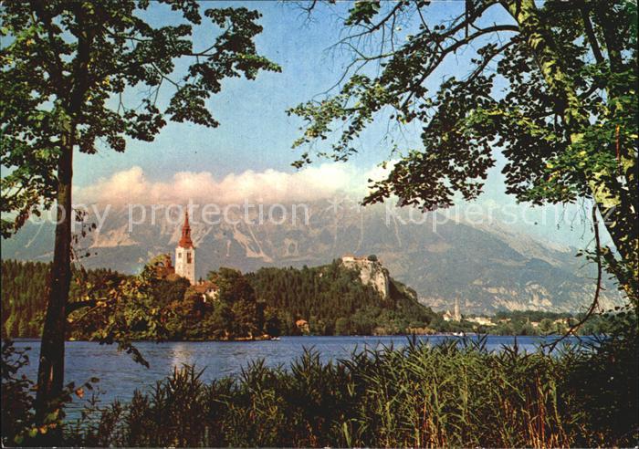 Bled Partie am See mit Kirche