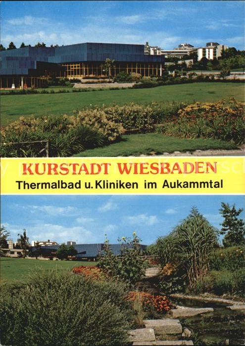 Wiesbaden Thermalbad und Kliniken im Aukammtal