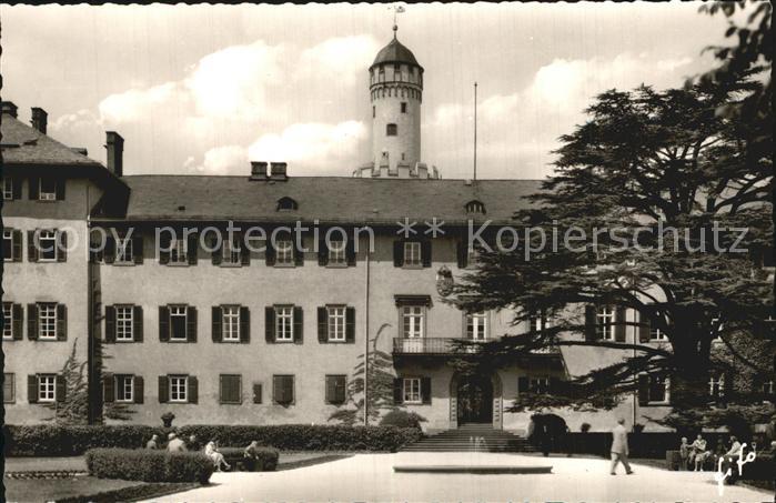 Bad Homburg Schloss mit Zeder