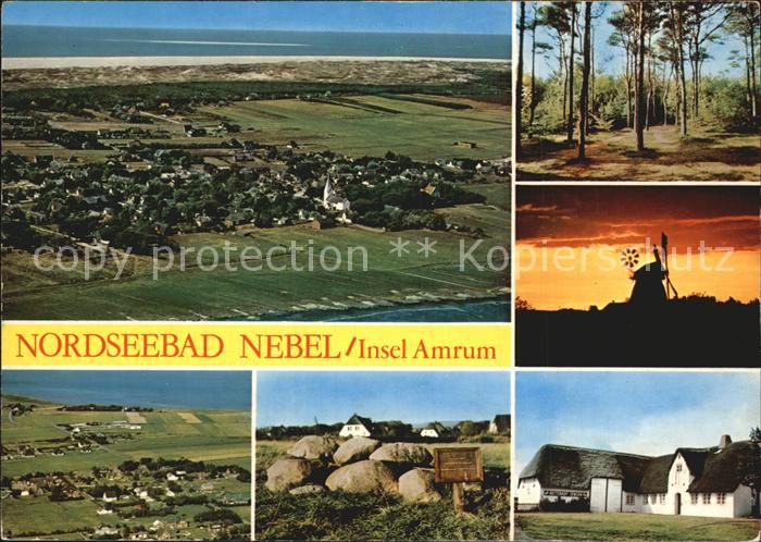 Nebel Amrum Fliegeraufnahme Windmuehle Reetdachhaeuser