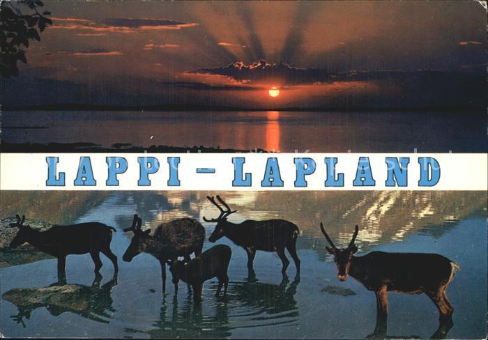 Tiere Lappi Lapland