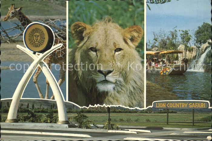 Loewe Lion Country Safari California Giraffe