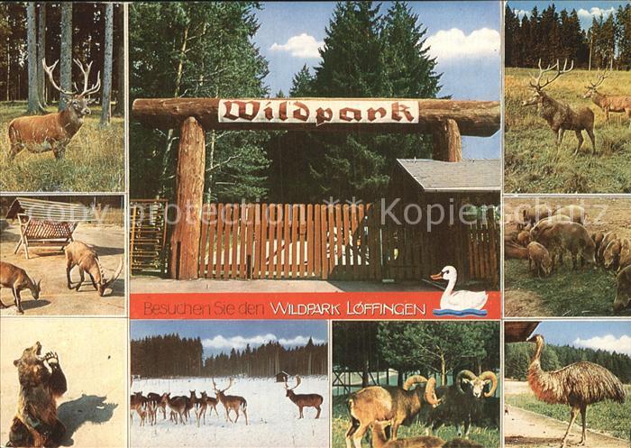 Tiere Wildpark Loeffingen Baer Hirsch Wildschwein Strauss