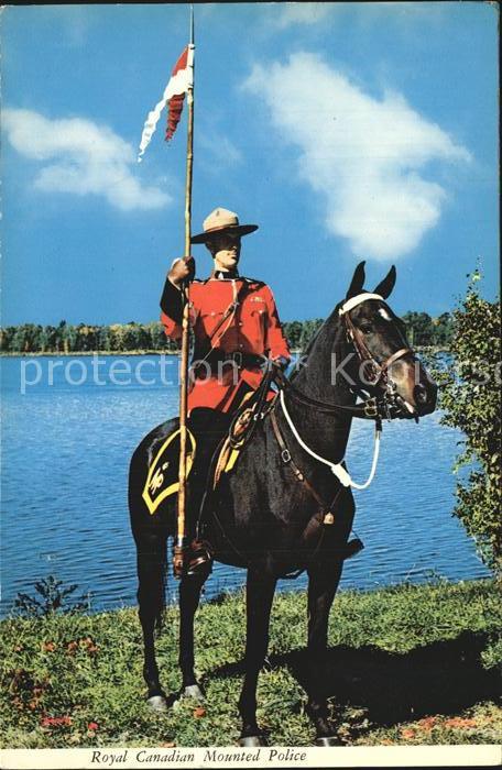 Polizei Royal Canadian Mounted Police Horse