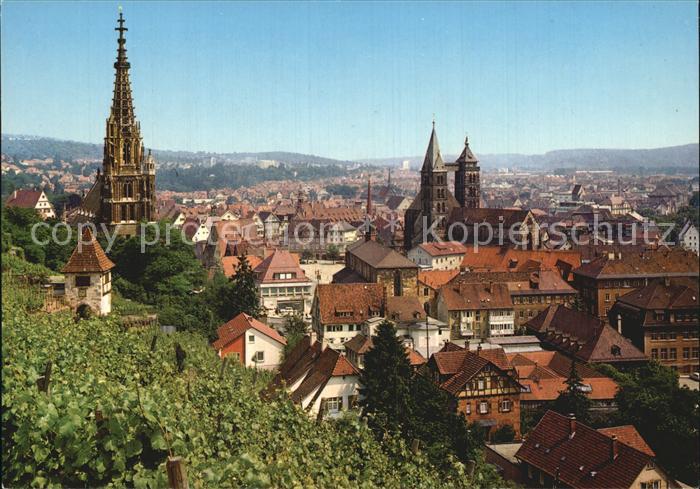 Esslingen Neckar Panorama