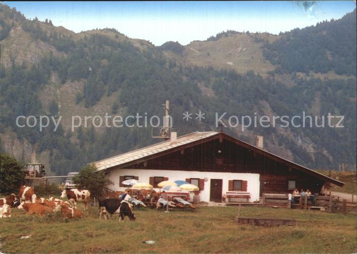 Kirchdorf Tirol Prost Alm