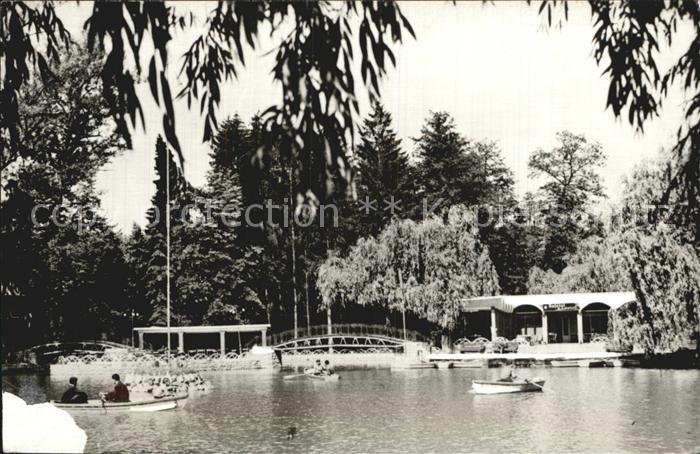 Vilcea Partie am See