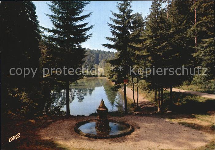 Raon-l Etape Vosges Etang de la Criquette