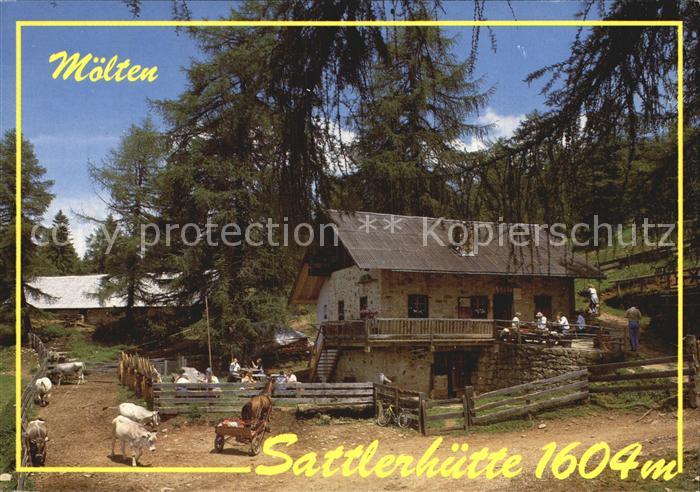 Moelten Suedtirol Sattlerhuette Buschenschank