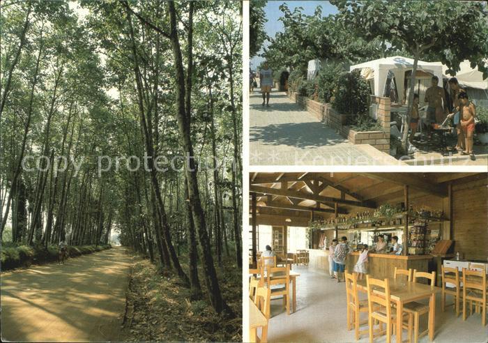 Malgrat de Mar Camping Els Pins