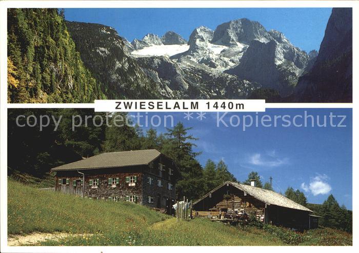 Gosau Oberoesterreich Zwieselalm Almwirtschaft