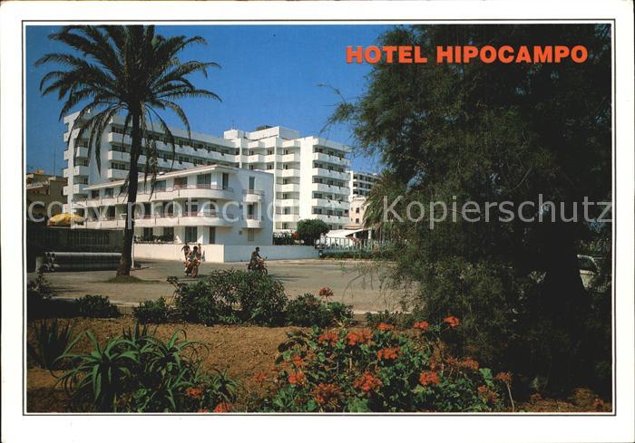 Cala Millor Mallorca Hotel Hipocamp