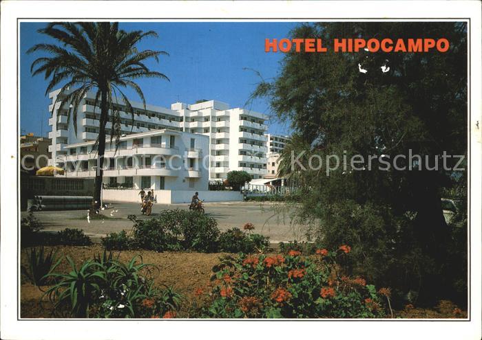 Cala Millor Mallorca Hotel Hipocampo