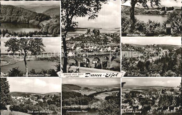 Daun Eifel Weinfelder Moor Burg Gemuender Moor Blick vom Wehrbusch