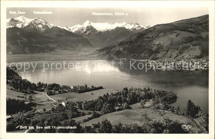 Zell See Fliegeraufnahme Thumersbach