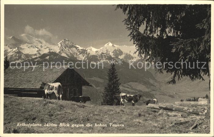 Hohentauern Erlhofplatte