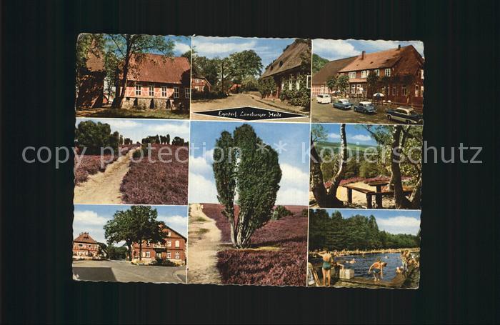 Egestorf Nordheide Heideansichten